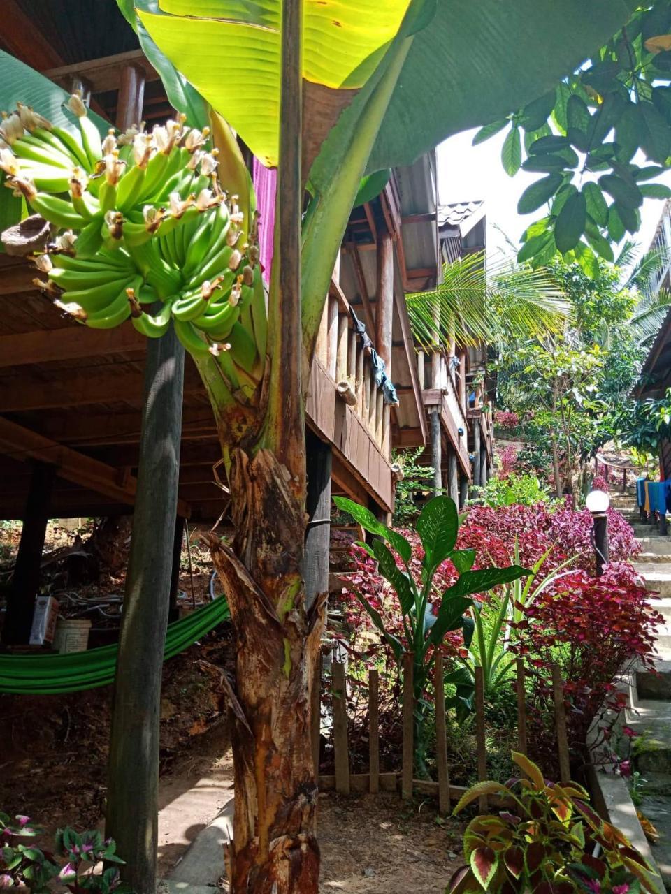 Happy Elephant Bungalows Kaoh Touch Exterior photo